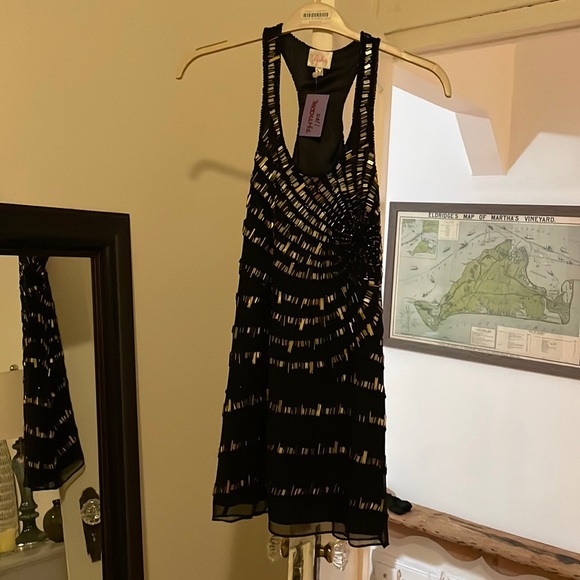 NEVER worn XS Parker dress - Picture 3 of 15